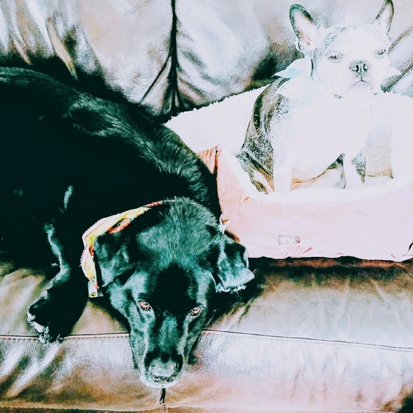 Meet your Posher, Vanessa - Picture 6 of 6